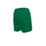 Nike 4´´ Volley Short Badeshorts male