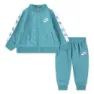Dusty cactus