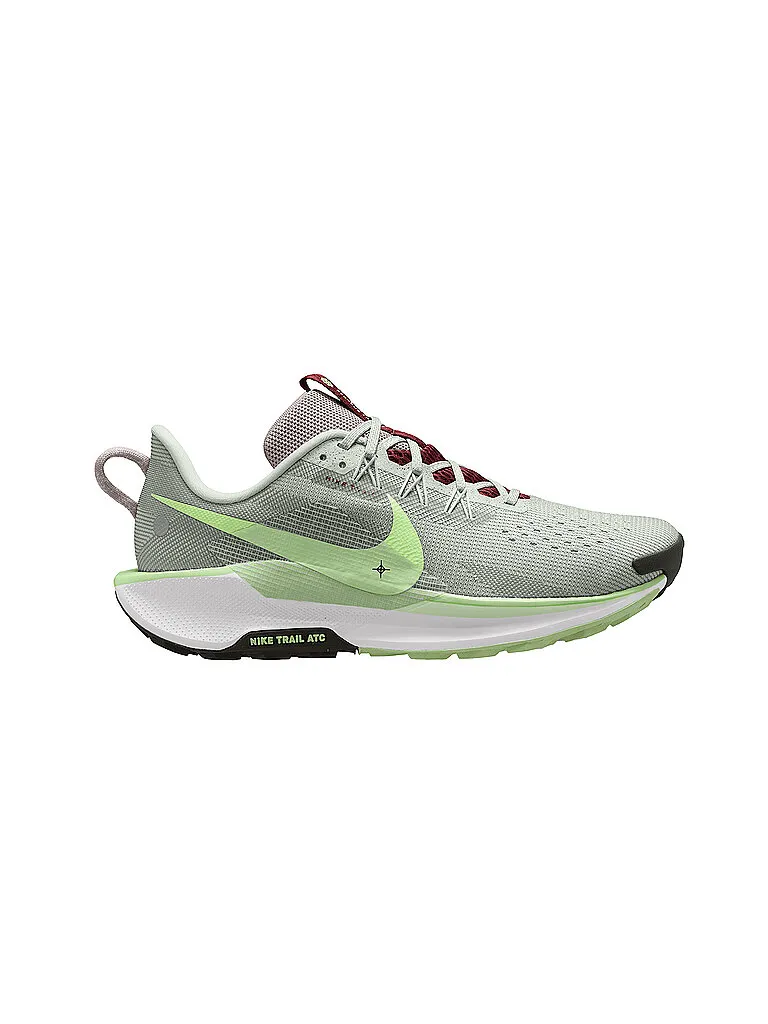 Nike Herren Traillaufschuhe Pegasus Trail 5