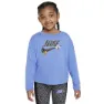 Nike polar