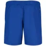 Nike Logo 5´´ Badeshorts