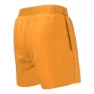 Nike Nessb866 4 Volley Badeshorts