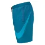 Nike Nessd541 9 Volley Badeshorts male, Green abyss