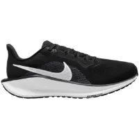 Nike Pegasus 41 Laufschuhe male