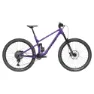 Purple / black