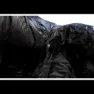 Nordisk Passion Three Schlafsack, Mood indigo / black, Left Zipper