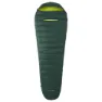 Scarab / lime