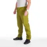 Macaw green 2