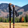 Northfinder Summit Stöcke, Black, 64-135cm