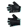 Black / blue