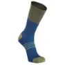 Blue / forest green
