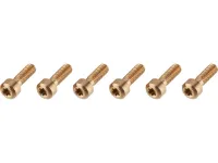 Oak Components Titanschrauben für Eternal Vorbau