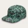 Green fragment pt
