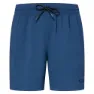 Oakley Checkered 18´´ Badeshorts male