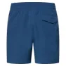 Oakley Checkered 18´´ Badeshorts male