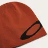 Oakley Ellipse Mütze