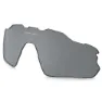 Black iridium polarized/cat3 1