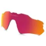 Prizm daily polarized/cat3 1