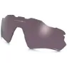 Prizm daily polarized/cat3 2