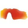 Prizm polarized ruby/cat3