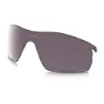 Prizm daily polarized/cat3