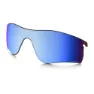 Prizm h2o deep water polarized/cat2 1