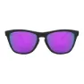 Oakley Fogskins Brillen