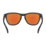 Oakley Fogskins Brillen