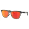Oakley Frogskins Range Sonnenbrille