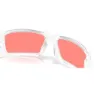 Oakley Gascan Polarisierte Sonnenbrille