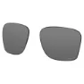 Prizm black polarized/cat3