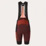 Oakley Off Grid Cargo Trägerhose