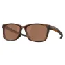 Matte brown tortoise