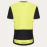 Oakley Point To Point 1/4 Zip Kurzarm-radtrikot