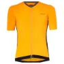 Amber yellow