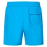 Oakley Robinson Rc 16´´ Badeshorts