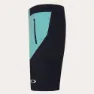 Oakley Seeker Airline Shorts Mit Chamois