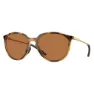 Polished brown tortoise
