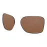 Prizm tungsten polarized/cat3
