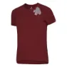 Wine merlo 1
