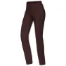 Brown chocolate plum