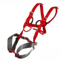 Ocun Mojo Junior Gurtzeug