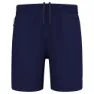 Odlo Essential 365 7´´ Kurze Hose