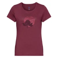 Odlo Halden Print Kurzarm-t-shirt