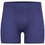 Skipper blue