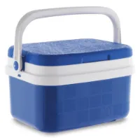 Oem Steife Tragbare Kühlbox 10l Oem Steife Tragbare Kühlbox 10l