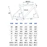 Olmo Nerax Ultegra Di2 2024 Rennrad