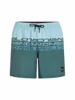O'Neill Herren Badeshort Cali Stripe 16 O'Neill Herren Badeshort Cali Stripe 16