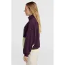 O'Neill O´riginals Polartec 100 Fleece Mit Halbem Reißverschluss