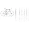 Orbea Gain M40 2025 E-rennrad